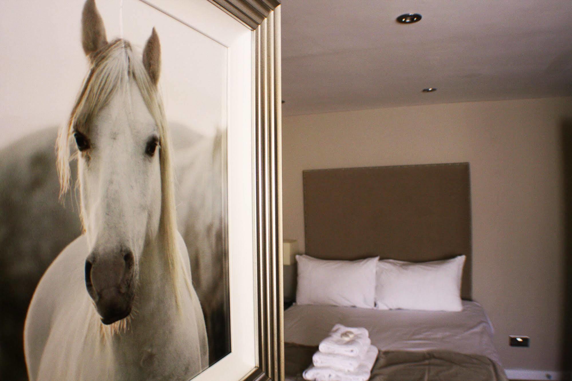 Mccafferty'S Guesthouse อิลฟอร์ด ภายนอก รูปภาพ